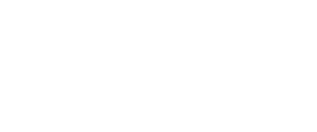 Logo Ecovida Blanco Transparente